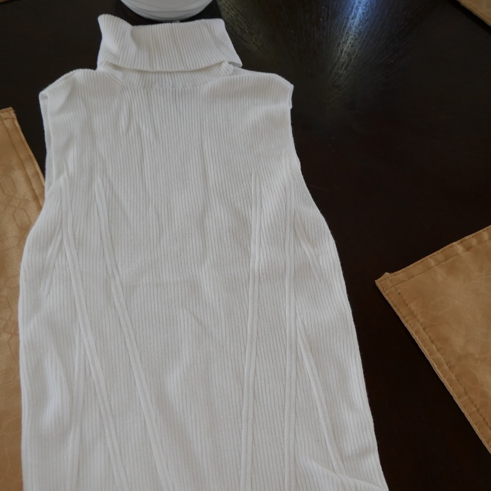 Express Sleevelss Turtleneck